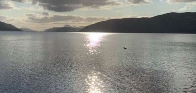 Loch Ness Monster sighting caught on video News-loch-ness-log