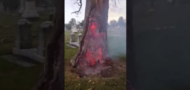 Tree Burns Inside Out After Lightning Storm Unexplained Mysteries 
